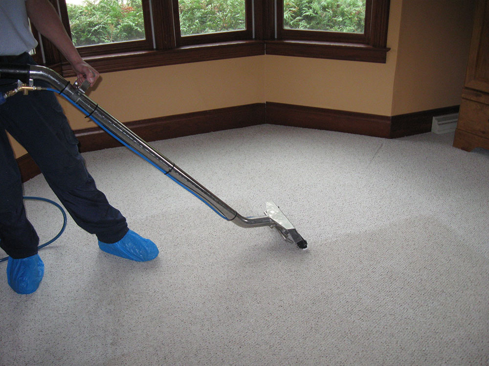 Home 1 Professional carpet and upholstery cleaning Services in Port Elizabeth