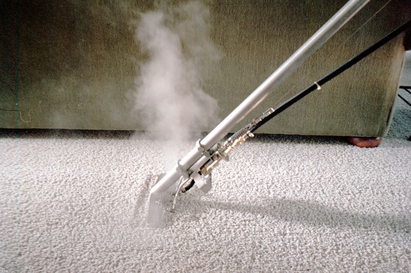 Professional hot water extraction carpet cleaning in Port Elizabeth for homes and offices.